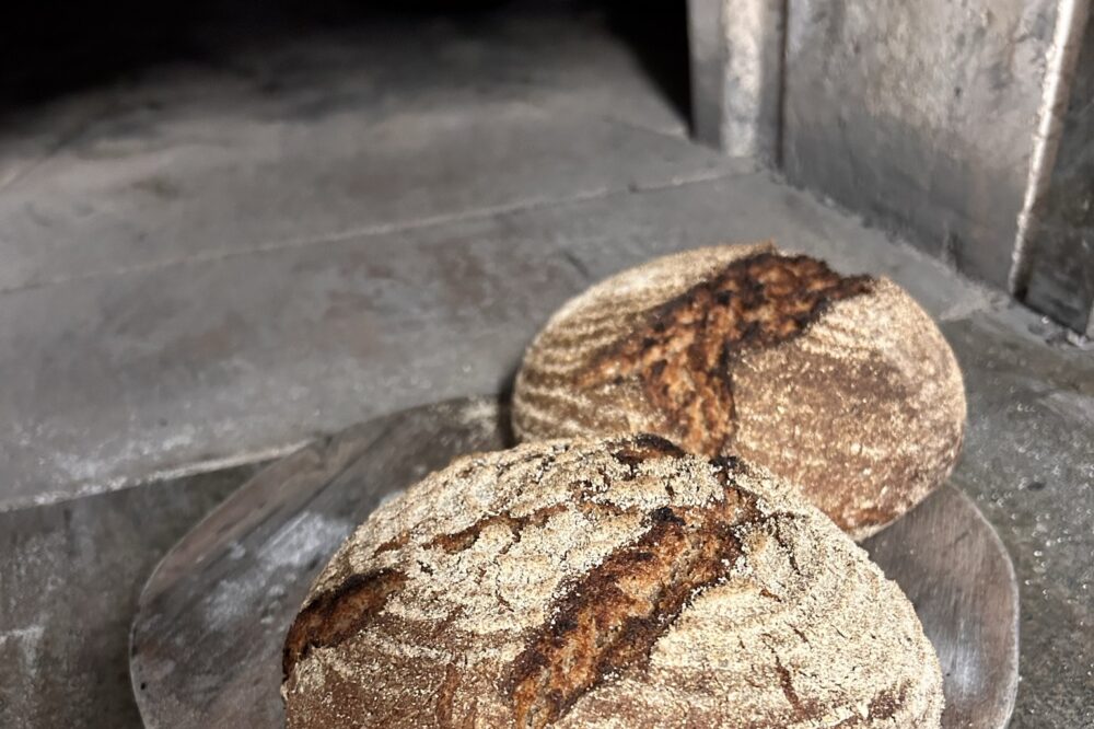 Vollkorn - Lecker!!! 